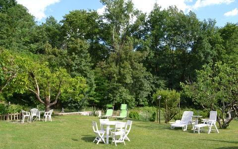 Agriturismo Il Giaggiolo without Pool: Arbre, Jardin, Propriété, Pelouse, Arrière-Cour, Herbe, Cour, Suppression Des Plantes Ligneuses, Plante, Maison