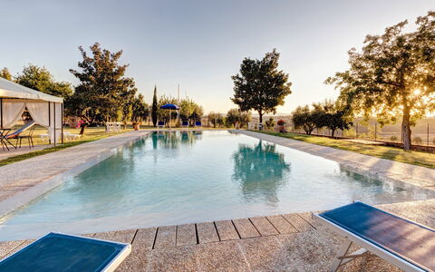 Casale Valdichiana: Piscine, Propriété, Immobilier, Domicile, L'Eau, Loisir, Maison, Recours, Bâtiment, Biens
