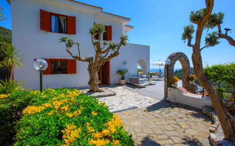 Villa Nerano: Pot De Fleur, Hacienda, Aménagement Paysager, Biens, Jardin, Plante D'Appartement, Villa, Cour