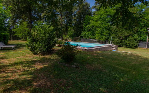 Elena: Arbre, Piscine, Jardin, Ombre, Pelouse, Loisir, Arrière-Cour, Aménagement Paysager, Cour, Parc