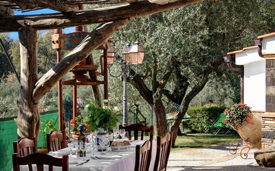la-villa-dell-olio-massa-lubrense-villa-garden