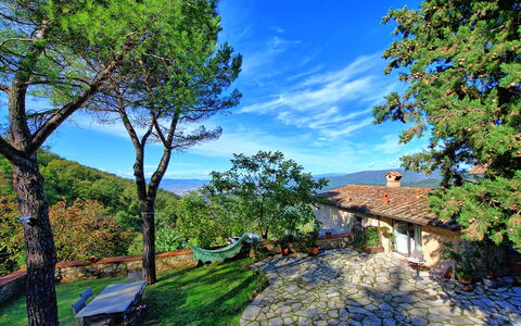 Villa Ancora: Branche, Arbre, Paysage Naturel, Maison, Suppression Des Plantes Ligneuses, Zone Rurale, Toit, Tronc, Chalet, Village
