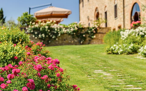 Villa Sole Del Chianti: Fleur, Plante, Bâtiment, La Nature, Botanique, Pétale, Fenêtre, Ciel, Arbre, Herbe