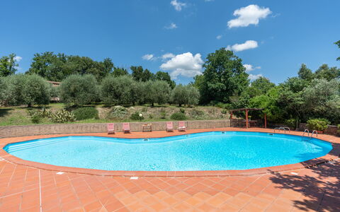 Villa Laura: L'Eau, Ciel, Nuage, Jour, Propriété, Piscine, Bleu Azur, Botanique, Plante, Arbre