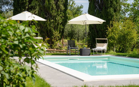 Villa Luana: L'Eau, Plante, Propriété, Piscine, Ombre, Parapluie, Arbre, Mobilier De Jardin, Rectangle, Herbe