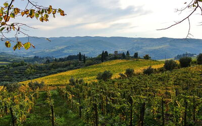 location de vacances Casa 360 - Greve in Chianti, Toscane, Italie