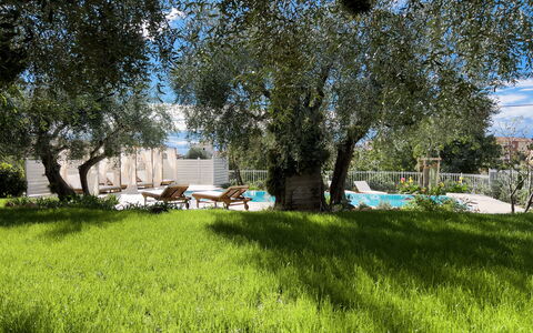 Villa Mimosa - Diano Marina: Plante, Communauté Des Plantes, Arbre, Paysage Naturel, Ombre, Lot Terre, Nuage, Herbe, Prairie, Loisir