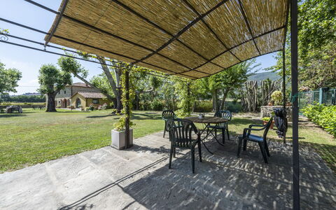 Villa Chio: Plante, Propriété, Table, Ombre, Arbre, Mobilier De Jardin, Herbe, Espace Public, Chaise, Tableau De Plein Air
