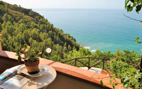 Arborea: Mer, Océan, Cotiers Et Relief Océaniques, Côte, Tropiques, Eco Hôtel, Balcon, Baie, Recours, Mobilier De Jardin