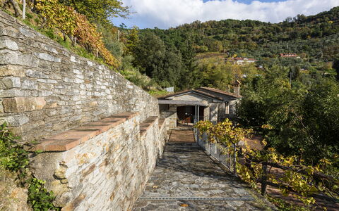 Villa Montignoso: Ciel, Plante, Nuage, Bâtiment, Bois, Paysage Naturel, Montagne, Pente, Surface De La Route, Arbre