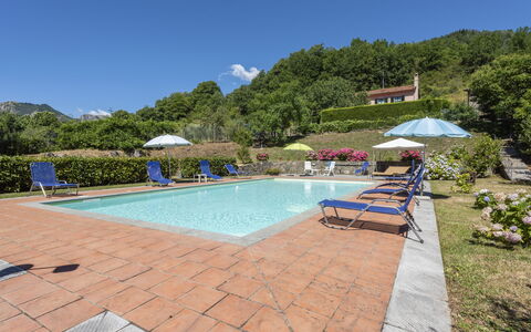 Villa Rosata: L'Eau, Plante, Ciel, Meubles, Chaise, Bâtiment, Piscine, Parapluie, Arbre, Mobilier De Jardin