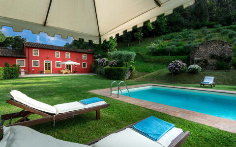 Villa Guamo: Plante, L'Eau, Propriété, Meubles, Bâtiment, Vert, La Nature, Ombre, Mobilier De Jardin, Piscine