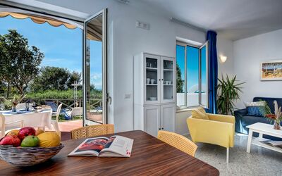 Family Deluxe Wave: Table, Meubles, Plante, Fenêtre, Chaise, Bois, Salon, Plante D'Appartement, Ombre, Aliments