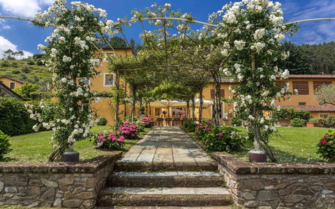Villa Castellaccio: Fleur, Plante, Ciel, Nuage, Bâtiment, Botanique, Pétale, Végétation, Arbre, Paysage