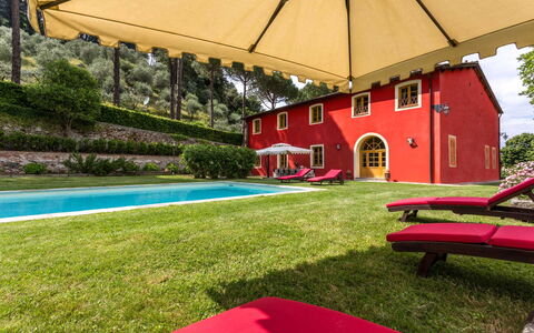 Villa Guasperini: Plante, Propriété, Bâtiment, Ombre, Parapluie, Mobilier De Jardin, Herbe, Loisir, Piscine, Arbre