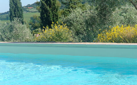 Tenuta Le Sodole: L'Eau, Ciel, Plante, Propriété, Piscine, Communauté Des Plantes, Arbre, La Nature, Bleu Azur, Paysage Naturel