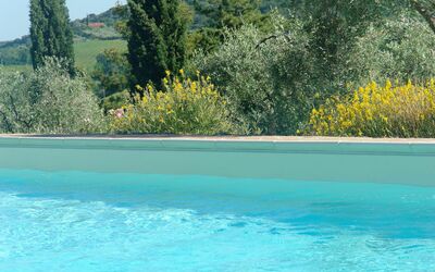 Tenuta Le Sodole: L'Eau, Ciel, Plante, Propriété, Piscine, Communauté Des Plantes, Arbre, La Nature, Bleu Azur, Paysage Naturel