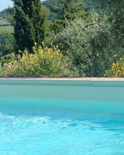 Tenuta Le Sodole: L'Eau, Ciel, Plante, Propriété, Piscine, Communauté Des Plantes, Arbre, La Nature, Bleu Azur, Paysage Naturel