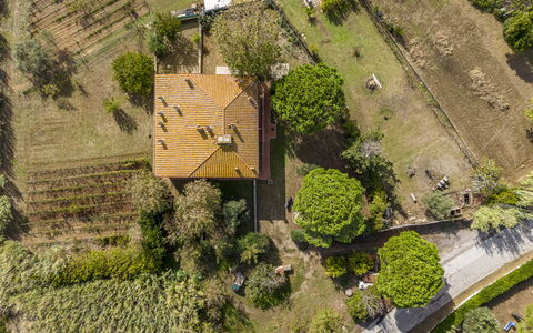 Holiday Home Giannella: Plante, Propriété, Lot Terre, Bâtiment, Végétation, Herbe, Design Urbain, Biome, Paysage Naturel, Zone Résidentielle