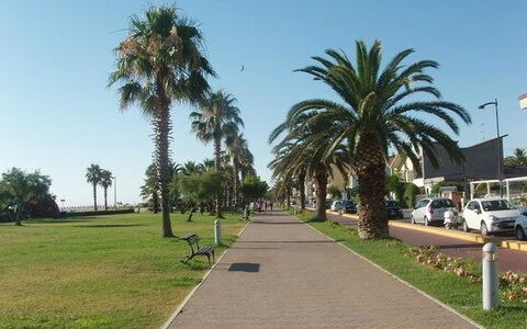 Villa Clair: Arbre, Espace Public, Des Loisirs, Passerelle, Suppression Des Plantes Ligneuses, Trottoir, Ombre, Loisir, Vacances