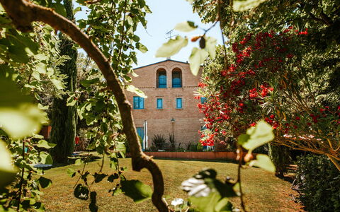 Villa Millefiori: Plante, Bâtiment, Fleur, Fenêtre, Feuille, Botanique, Branche, Architecture, Végétation, Maison