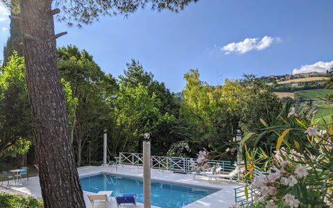 Villa Millefiori: L'Eau, Plante, Ciel, Nuage, Piscine, Paysage Naturel, Arbre, Ombre, Loisir, Immobilier