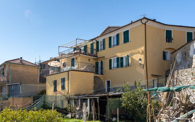 Vasia 26
