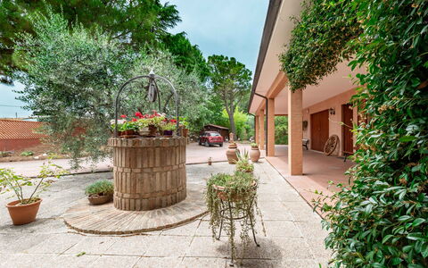 Villa Rosso Corbezzolo: Plante, Propriété, Pot De Fleur, Bâtiment, Fleur, Plante D'Appartement, Surface De La Route, Architecture, Quartier, Sol