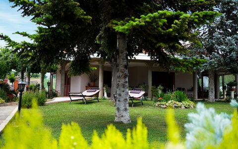 Residenza Thaulero: Plante, Propriété, Bâtiment, Botanique, Vert, La Nature, Feuille, Arbre, Végétation, Architecture