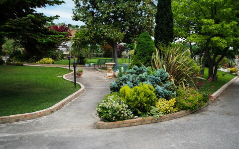 Residenza Thaulero: Plante, Arbre, Botanique, Surface De La Route, Asphalte, Design Urbain, Fleur, Couverture De Sol, Route, Herbe