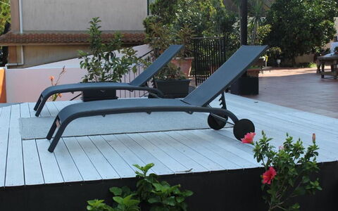 Tre Donne: Plante, Mobilier De Jardin, Ombre, Fleur, Bois, Design Urbain, Loisir, Arbre, Toit