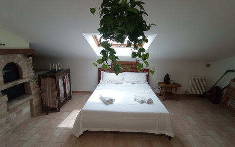 L'attico Di Castelfidardo: Plante, Meubles, Fleur, Bâtiment, Confort, Bois, Plante D'Appartement, Design Intérieur, Sol, Maison