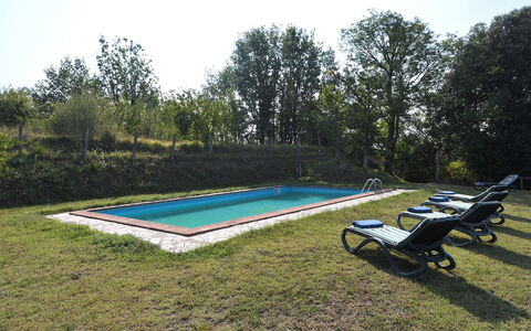 Villa Antelminelli: Plante, Ciel, Piscine, Arbre, Ombre, Mobilier De Jardin, Extérieur Banc, Rectangle, Loisir, Herbe