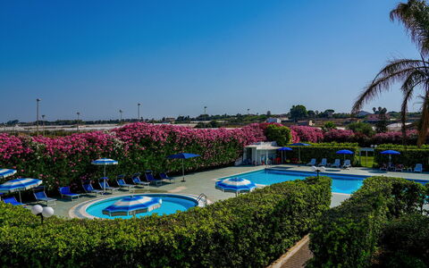 Baraka Apartments: Bleu, Jardin, Aménagement Paysager, Pelouse, Haie, Recours, Piscine, Parc, Jardin Botanique
