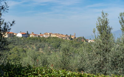 Residenza la Casuccia