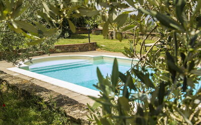 location de vacances Orangerie degli Ulivi - Cortone, Toscane, Italie