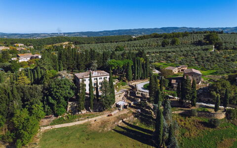 Villa Staggia: Arbre, Paysage, Arbuste, Biens, Manoir, Aménagement Paysager, À Feuilles Persistantes, Plantation