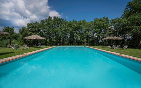 Belvedere - Falceto, Ambra, Toscana: L'Eau, Nuage, Plante, Propriété, Piscine, Ciel, Bleu Azur, Arbre, Ombre, Composite