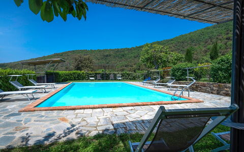 Colle Degli Ulivi - Cortona, Pool, Nature, Privacy: L'Eau, Ciel, Plante, Propriété, Piscine, Bleu Azur, Chaise, Ombre, Arbre, Bâtiment