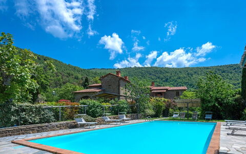 Colle Degli Ulivi - Cortona, Pool, Nature, Privacy: L'Eau, Nuage, Ciel, Plante, Propriété, Bleu, Vert, Piscine, Bleu Azur, Arbre
