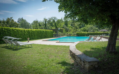 Fonte Nuova - Badia Agnano, Toscana: L'Eau, Plante, Ciel, Piscine, Bleu Azur, Arbre, Ombre, Nuage, Mobilier De Jardin, Herbe