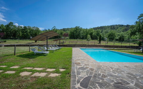 Leopolda In Selvarella Pool And Wi-fi: Ciel, L'Eau, Propriété, Plante, Nuage, Piscine, Ombre, Arbre, Herbe, Rectangle
