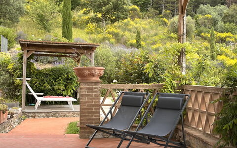 Villa Monticello: Plante, Meubles, Communauté Des Plantes, Extérieur Banc, Mobilier De Jardin, Paysage Naturel, Bois, Herbe, Ombre, Arbre