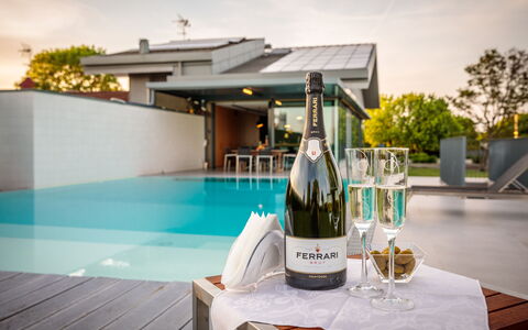 Villa Dalia Venezia: Bouteille, Table, Drinkware, Vaisselle, Bouteille En Verre, Bar, Du Vin, Plante, Verres À Pied, L'Eau