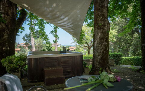 Villa Recanati, Val D'orcia, Private Pool, Jacuzzi: Plante, Table, Feuille, Bâtiment, La Nature, Arbre, Botanique, Ombre, Éclairage, Bois