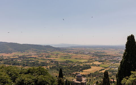 Casa Novecento: Ciel, Communauté Des Plantes, Écorégion, Montagnes, Arbre, Plante, Montagne, Paysage Naturel, Nuage, Atmospherique Phénomène