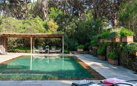 Villa La Pineta: Plante, L'Eau, Piscine, Arbre, Herbe, Loisir, Zone Résidentielle, Ombre, Immobilier, Paysage