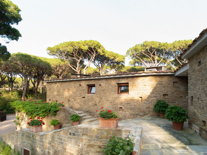 Outdoor view