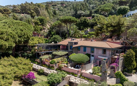 Argentarola House, Porto Santo Stefano, Seaview An: Plante, Propriété, Communauté Des Plantes, Ciel, Bâtiment, Arbre, Végétation, Biome, Paysage Naturel, Maison