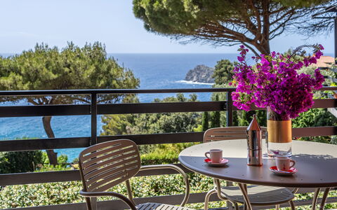 Argentarola House, Porto Santo Stefano, Seaview An: Fleur, Plante, Table, Ciel, Meubles, Propriété, Pot De Fleur, La Nature, Chaise, Bâtiment